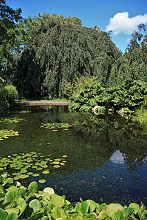 <span class="mw-page-title-main">Hortus Botanicus Leiden</span> Botanical garden in the Netherlands