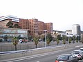 Vall d'Hebron University Hospital (Barcelona, Catalonia, Spain).
