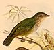 Ciconiiformes: Teuluoedd, Cyfeiriadau, Llyfryddiaeth