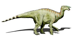 <i>Hypselospinus</i> Extinct genus of dinosaurs