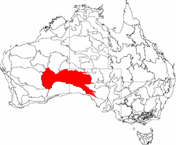 IBRA 6.1 Great Victoria Desert.png