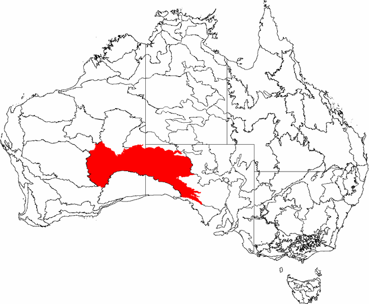 File:IBRA 6.1 Great Victoria Desert.png