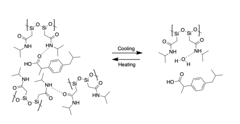 Ibuprofen is encapsulated within the hydrogen bonding network of a smart polysiloxane above LCST, and then released when temperature falls below LCST and the polymer becomes water-soluble. Ibuprofen Delivery via Smart Polysiloxane.png