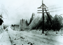 Coated in ice, power and telephone lines sag and often break, resulting in power outages. IceStormPowerLines.png