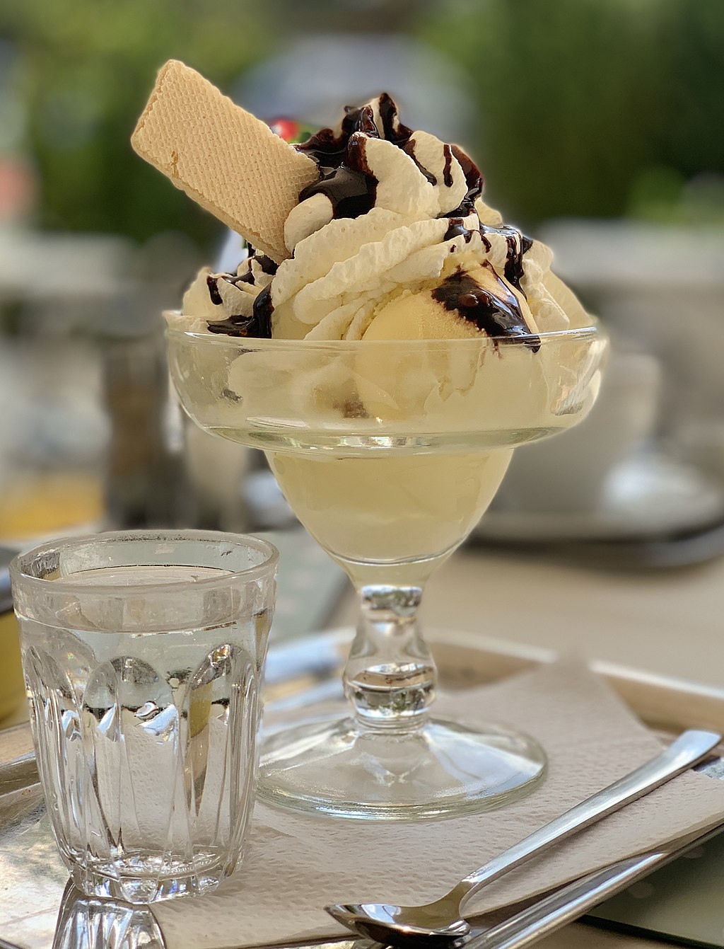 https://upload.wikimedia.org/wikipedia/commons/thumb/2/2e/Ice_cream_with_whipped_cream%2C_chocolate_syrup%2C_and_a_wafer_%28cropped%29.jpg/1024px-Ice_cream_with_whipped_cream%2C_chocolate_syrup%2C_and_a_wafer_%28cropped%29.jpg
