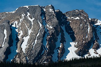 Icefields Parkway & Rock Detail