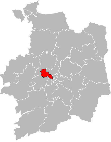 File:Ille-et-Vilaine - Canton Rennes-6 2015.svg