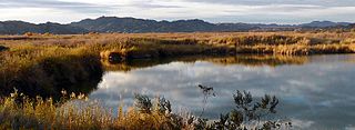 Imperial National Wildlife Refuge Nature preserve in Arizona and California