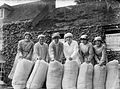 Industry during the First World War- Flour Mill Q30941.jpg