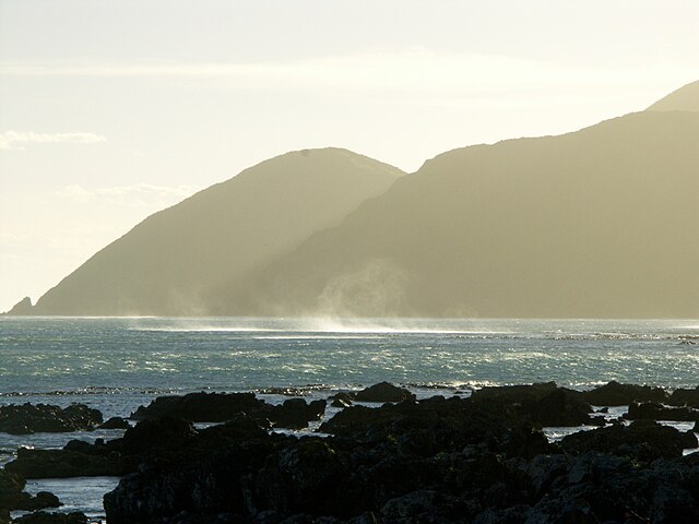 Wellington's south coast, seen from Island Bay