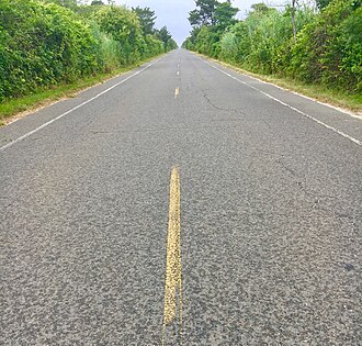 Typical flora of Island Beach State Park, as seen along Shore Road, the main road through the park. IslandBeachRoad.jpg