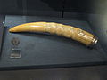 Ivory of the Royal African Company, International Slavery Museum.JPG