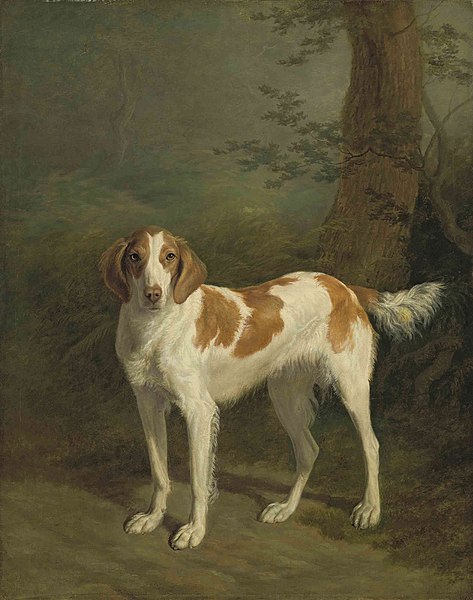 File:Jacques-Laurent Agasse - Dash, a setter in a wooded landscape.jpg