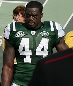 James-Ihedigbo Jets-vs-Jaguars Nov-15-09.jpg