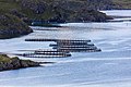 Jaulas flotantes de salmones, Kamøyvær, Noruega, 2019-09-03, DD 66.jpg