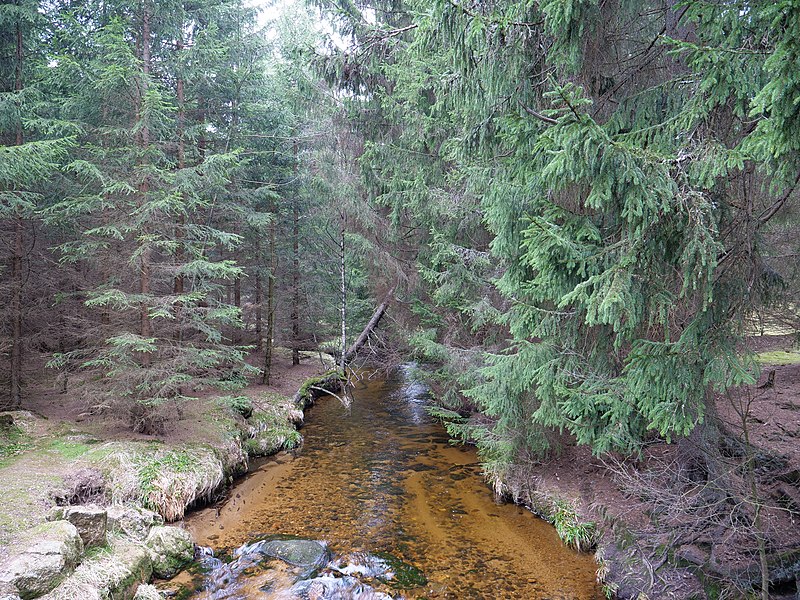 File:Kalte Bode near Schluftwiesen 03.jpg