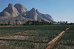 Thumbnail for Kassala State