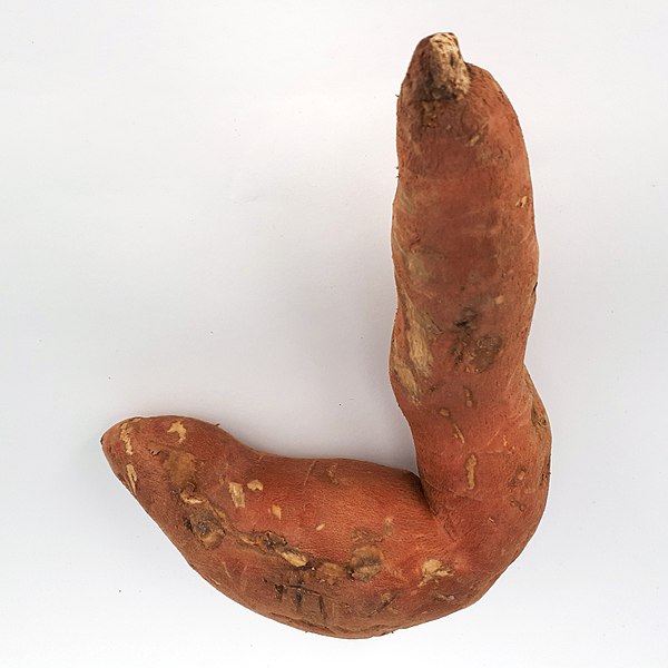 File:L-shaped sweet potato 2017 A2.jpg