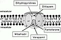 Smanjeni pregled verzije na dan 18:13, 1 oktobar 2010