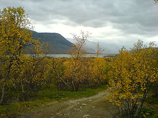 Ladtjovagge och sjön Ladtjojaure