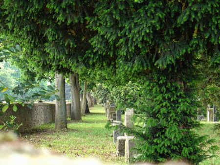 Lambsheim juedischer Friedhof 2