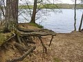 Langer See - Sandiger Ufer (Long Lake - Sandy Riverbank) - geo.hlipp.de - 35717.jpg
