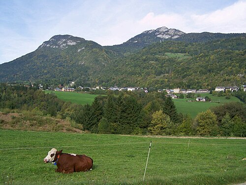 Plombier Le Châtelard (73630)