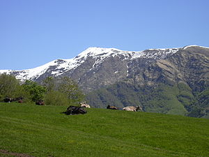 from the Val Veddasca