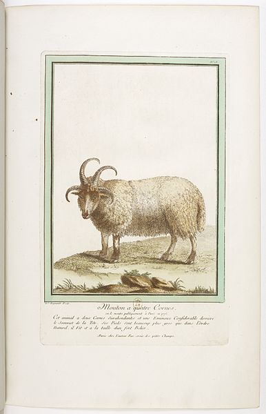 File:Les écarts de la nature page25.jpg