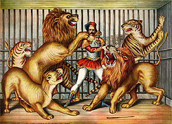 19th-century etching of a tamer in a cage of lions and tigers, circa 1873