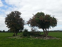 Lismacrory Mound 1.jpg