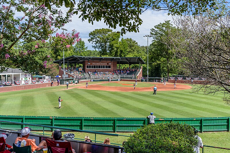 File:Little League Baseball at Elm Street Park.jpg