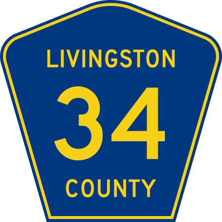 File:Livingston County 34.svg