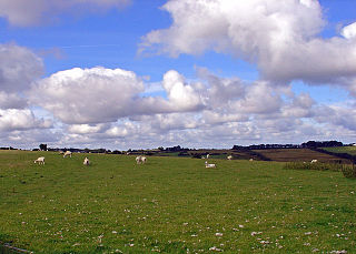 Llanarth, Ceredigion Human settlement in Wales