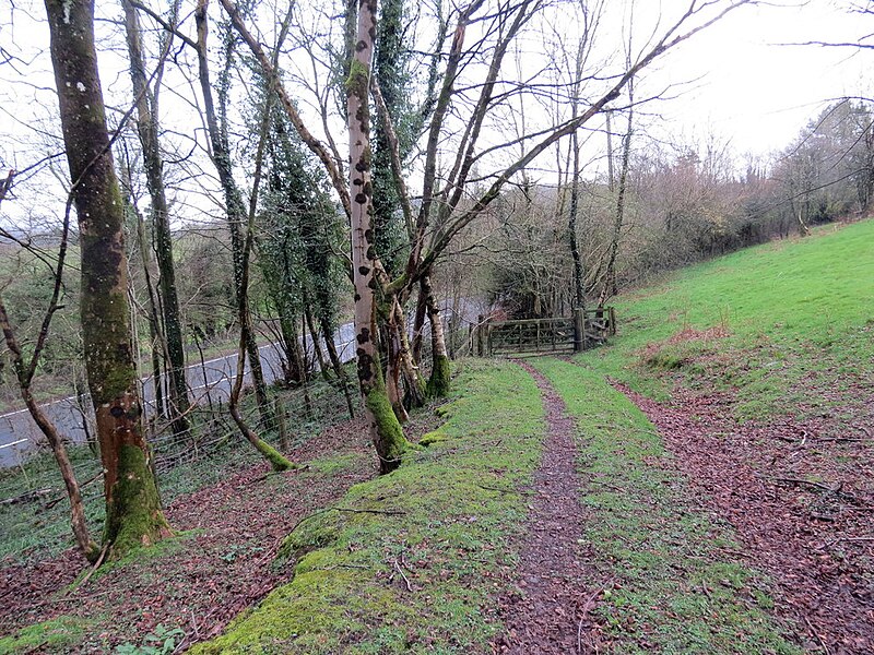 File:Llwybr Llethr Garw - Llethr Garw Path - geograph.org.uk - 6081363.jpg