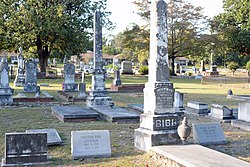 Lott Cemetery -2, Уэйкросс, Джорджия, США.jpg