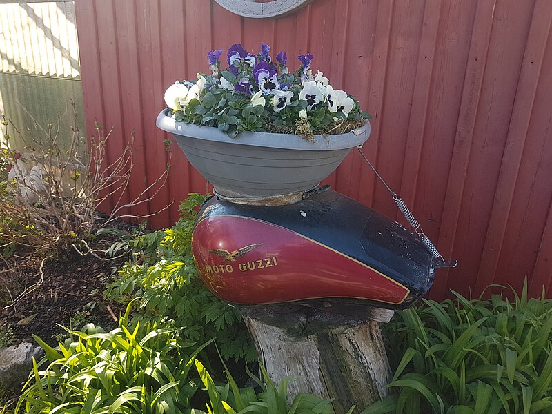 File:Lustenau-Moto Guzzi flower tank-01ASD.jpg