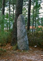 Vignette pour Menhir de São Paio de Antas