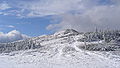 * Nomination Mount Mała Babia Góra - view from Brona mountain pass (Żywiec Beskids, Poland) --Pudelek 14:55, 3 November 2007 (UTC) * Decline Poor contrast and sharpness, noise in the sky. Why this exposure solution, camera in "automatic" mode? -- Alvesgaspar 23:16, 4 November 2007 (UTC)