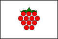 Malenovice (FM) flag.svg