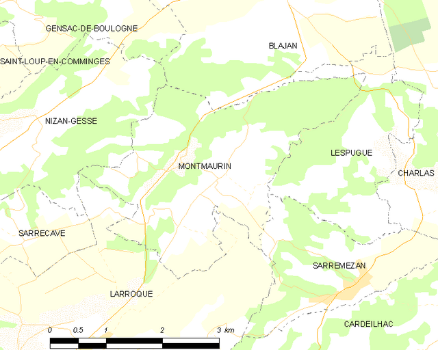 Poziția localității Montmaurin