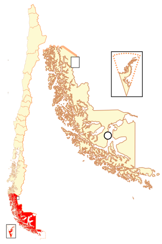 Situasión de Rejion de Magayanes i Antartika Chilena