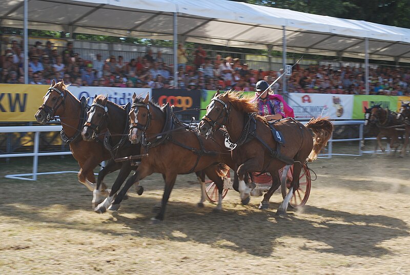 File:Marché-Concours Saignelégier 2018 11.jpg