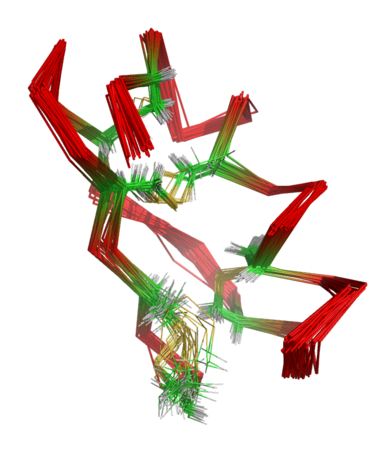 The protein NMR structure of maurotoxin, illustrating the fluctuations in the protein's native state in solution. The protein backbone is shown in red, the alpha carbons of the eight cysteine residues in green, and the disulfide bridges in yellow. Compare the disulfide bond connectivity to HsTx1 below. Maurotoxin 1txm.png