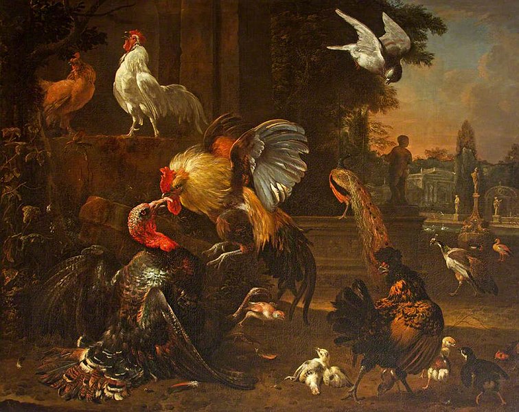 File:Melchior de Hondecoeter (1636-1695) - A Cock and Turkey Fighting, in a Park Setting, with Other Fowl - 453773 - National Trust.jpg