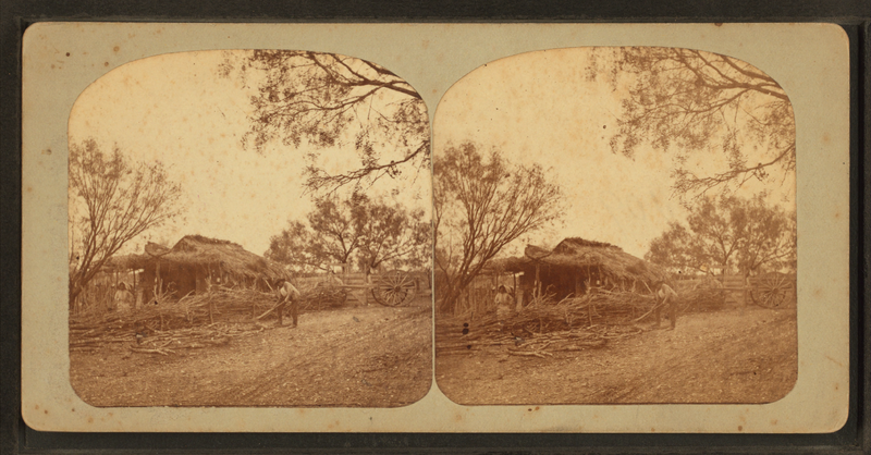 File:Mexican Hut, by Doerr, H. A. (Henry A.), 1826-1885.png