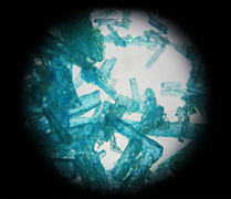 Mikroskopski kristali bakar(II)- hlorida.jpg