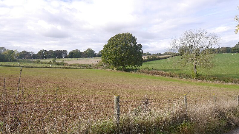 File:Mixed farming, Poswick - geograph.org.uk - 5786835.jpg