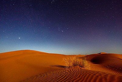 Éjszaka a Szaharában