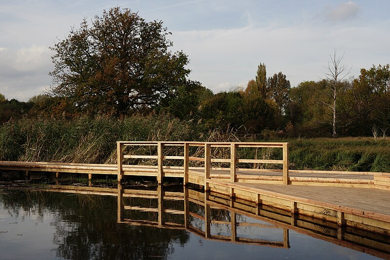 File:Morden Hall Park - geograph.org.uk - 5179258.jpg